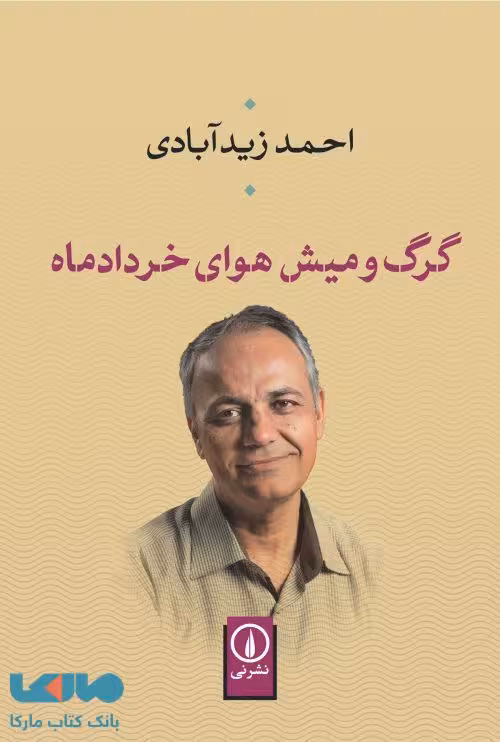 گرگ و میش هوای خردادماه نشر نی
