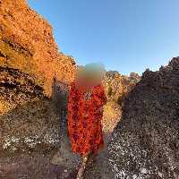 پیراهن هرمز نارنجی