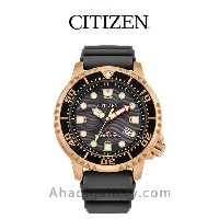ساعت مچی سیتیزن مدل BN0163-00H