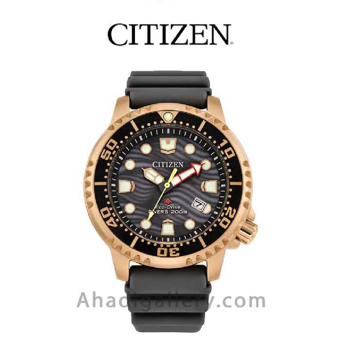 ساعت مچی سیتیزن مدل BN0163-00H