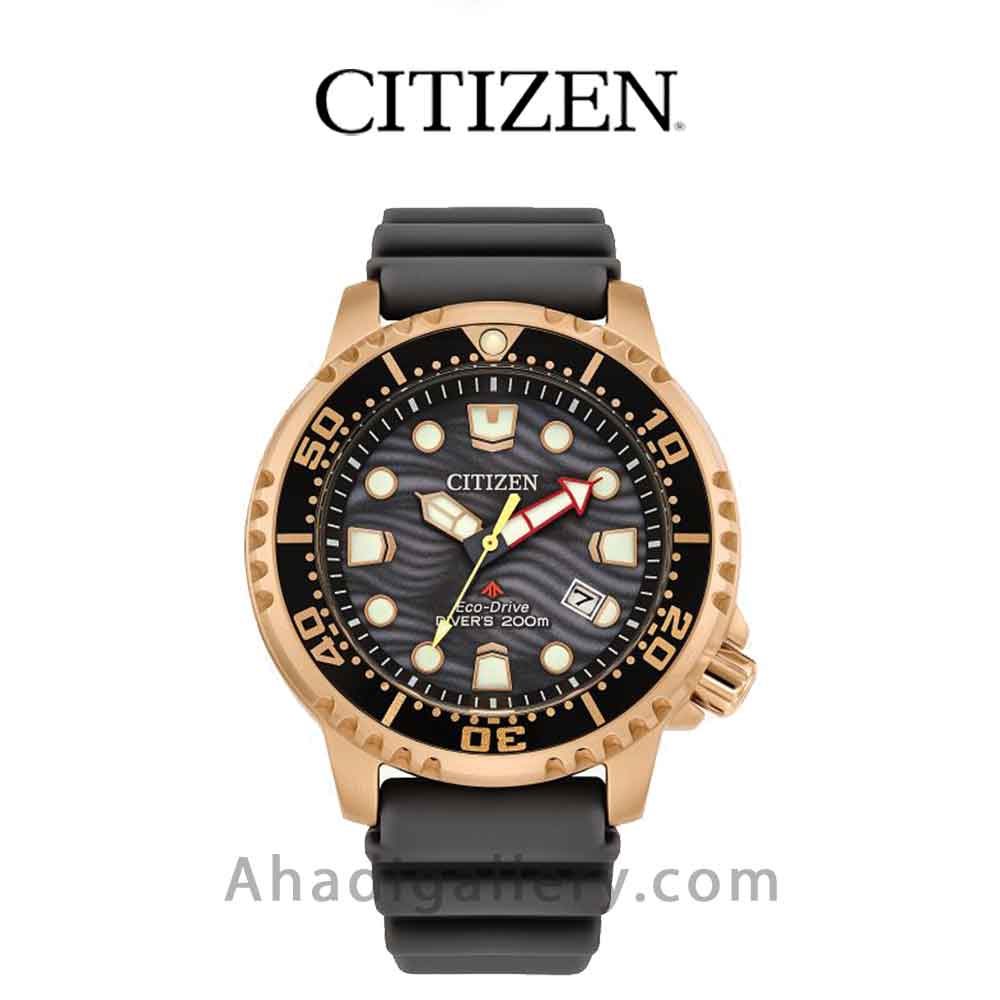 ساعت مچی سیتیزن مدل BN0163-00H