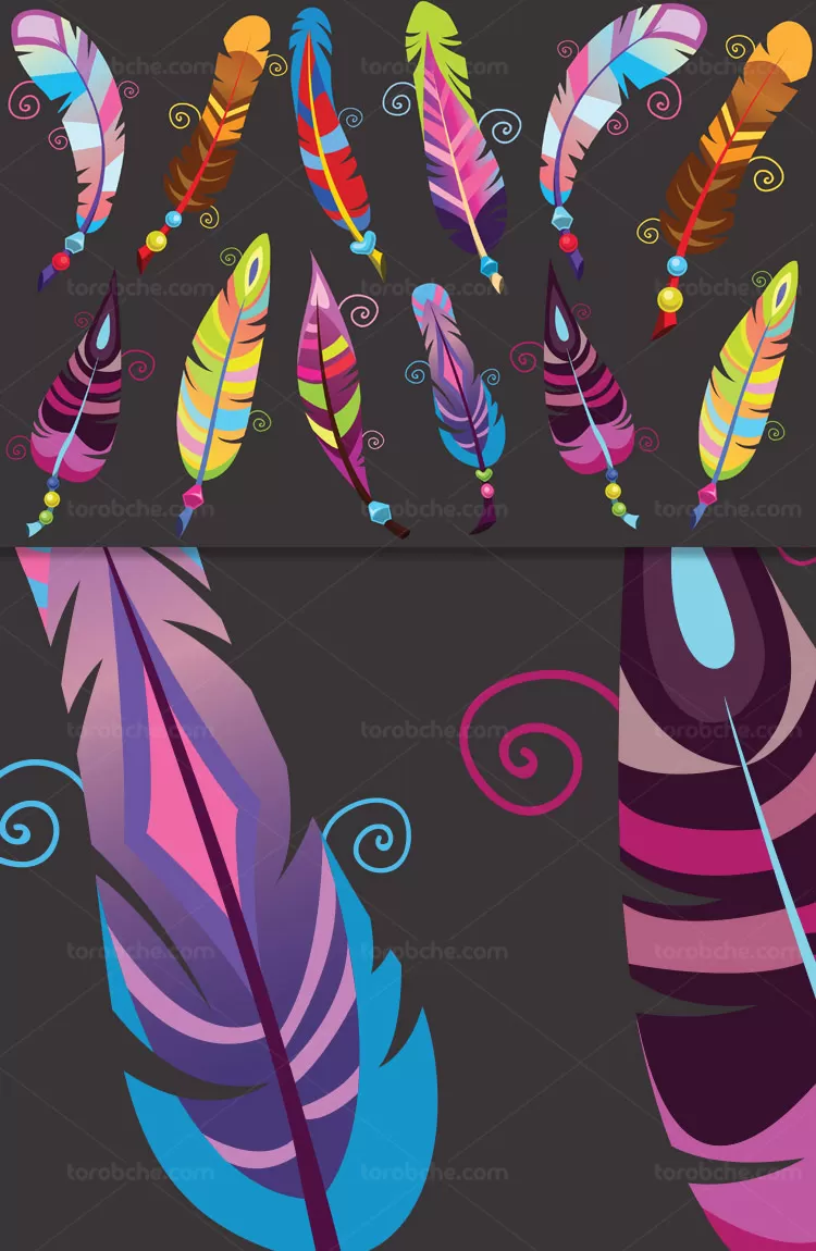 وکتور پرهای رنگی پرندگان | گرافیک با طعم تربچه