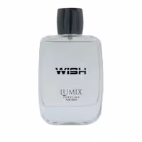 ادکلن مردانه بست گیت مدل Wish حجم 110 میل