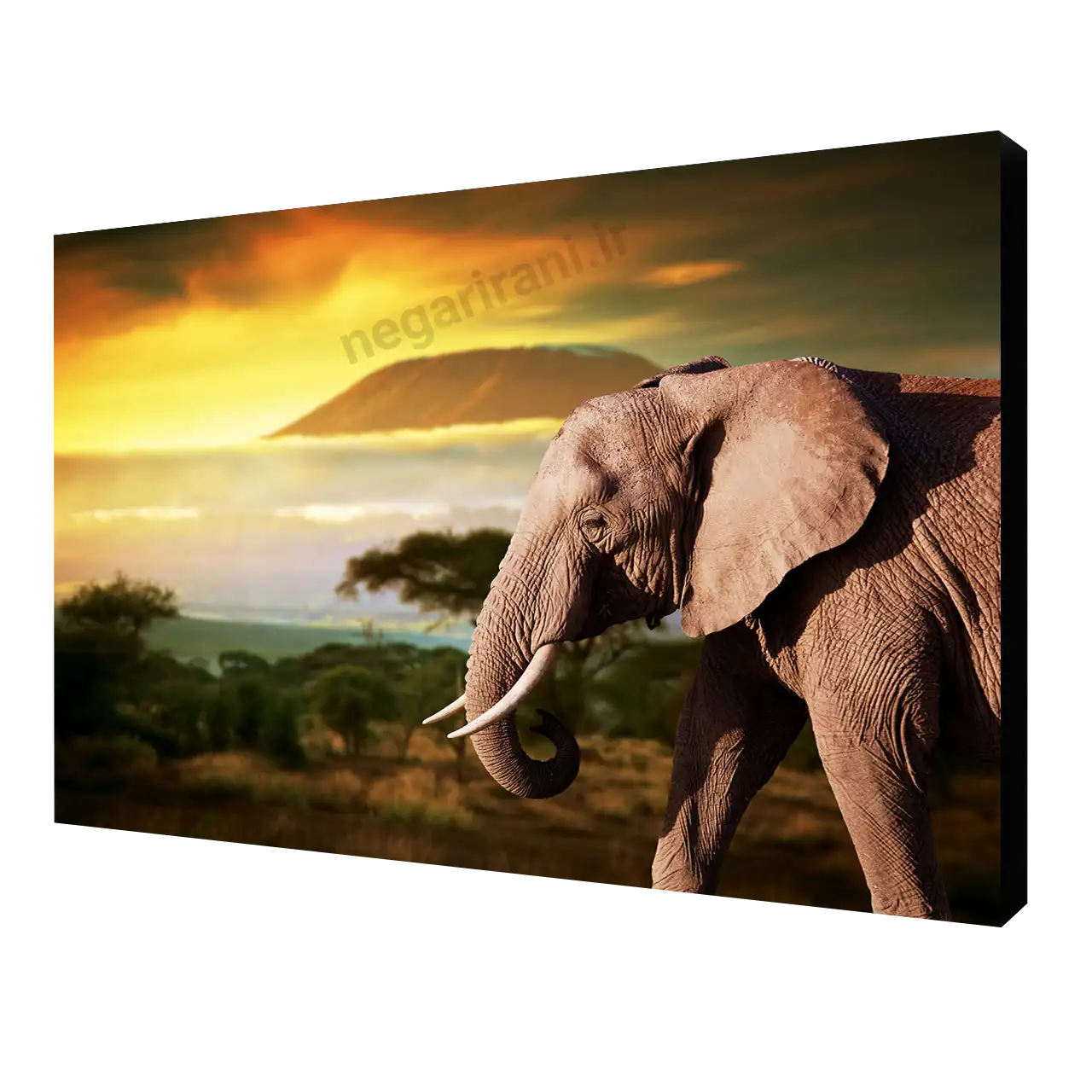 تابلو شاسی فیل  طرح W 27