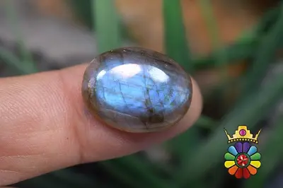 لابرادوریت