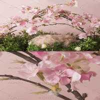 بکگراند عکاسی نوزاد شکوفه های بهاری | گرافیک با طعم تربچه