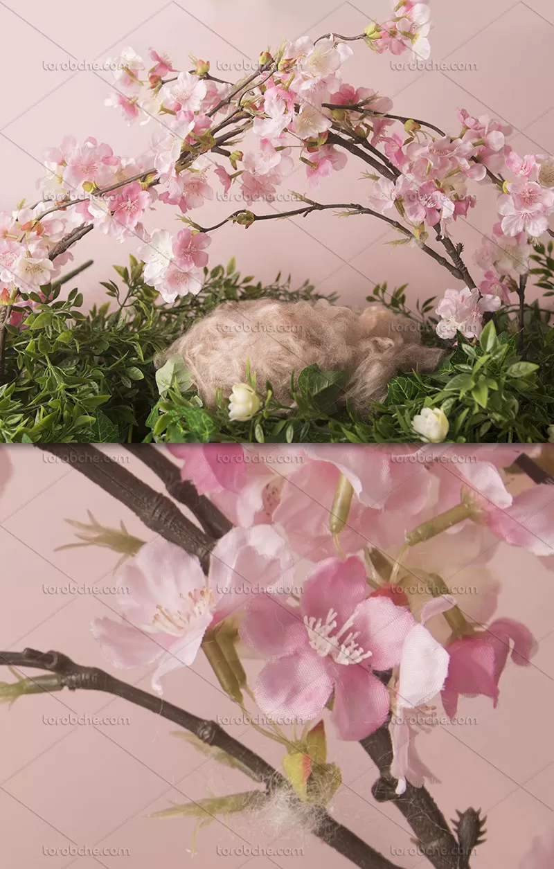 بکگراند عکاسی نوزاد شکوفه های بهاری | گرافیک با طعم تربچه