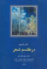 در طلسم شعر:منتخب چهار دفتر شعر (شعر معاصر ایران13) - ناشربوک | خرید آنلاین کتاب