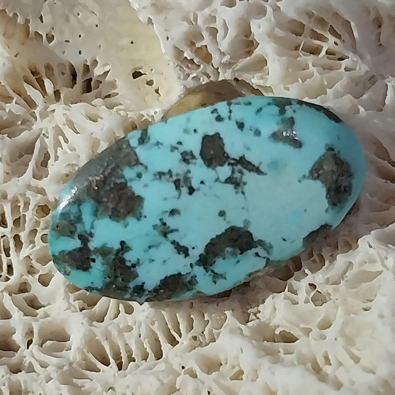 نگین فیروزه کرمان رگ طلادار تمام مغز معدنی بدون احیا 