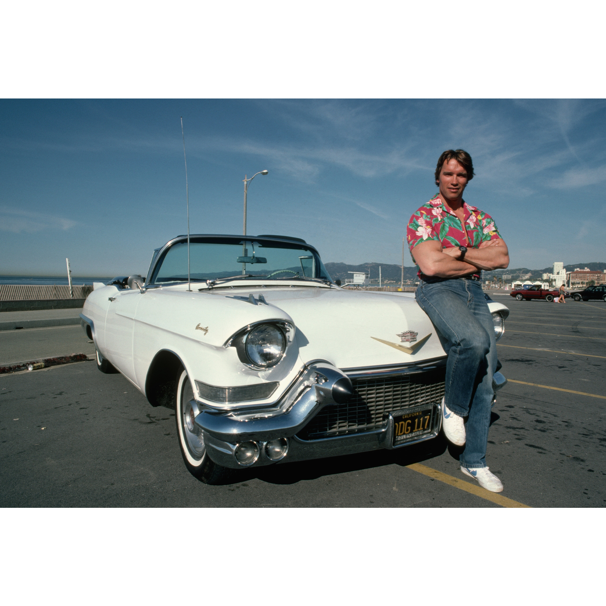 تابلو شاسی مدل بازیگران مشهور فیلم و سینما ارنولد شوارتزنگر -hz- کد 09