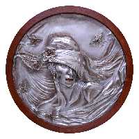 تابلو رزین شوبرت کد 4309