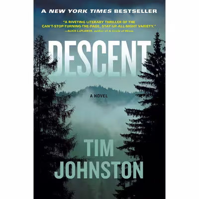 کتاب Descent اثر Tim Johnston انتشارات Algonquin Books