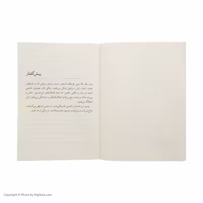 کتاب یک تکه زمین کوچک اثر الیزابت لرد نشر افق
