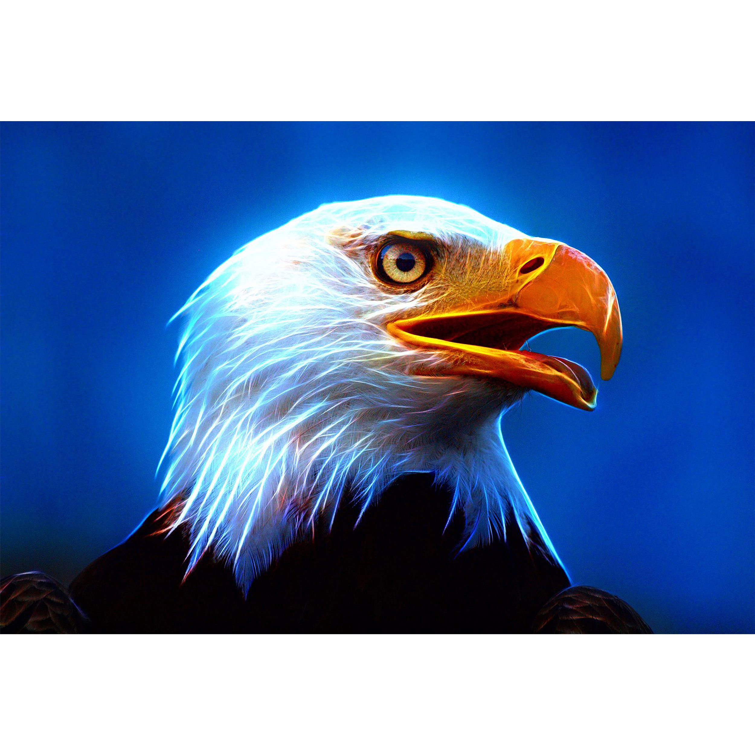 تابلو شاسی طرح پرنده عقاب مدل T1451