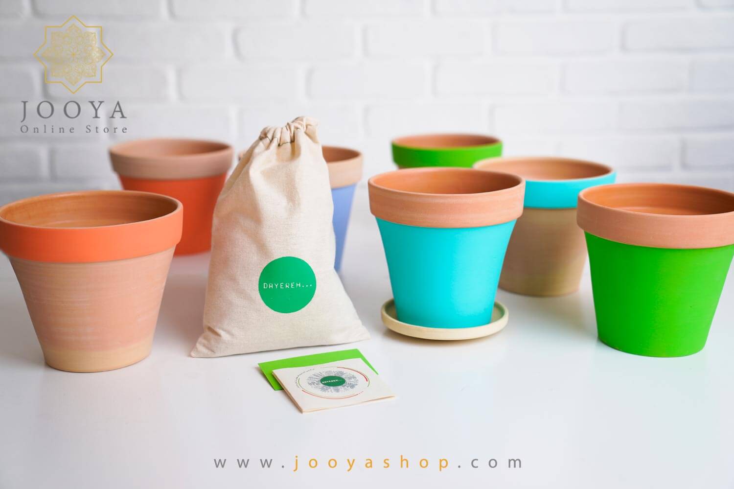 گلدان سفالی با بذر گوجه گیلاسی