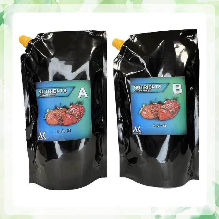 کود هیدروپونیک توت فرنگی هوگلند دو پارتی 600 سی سی