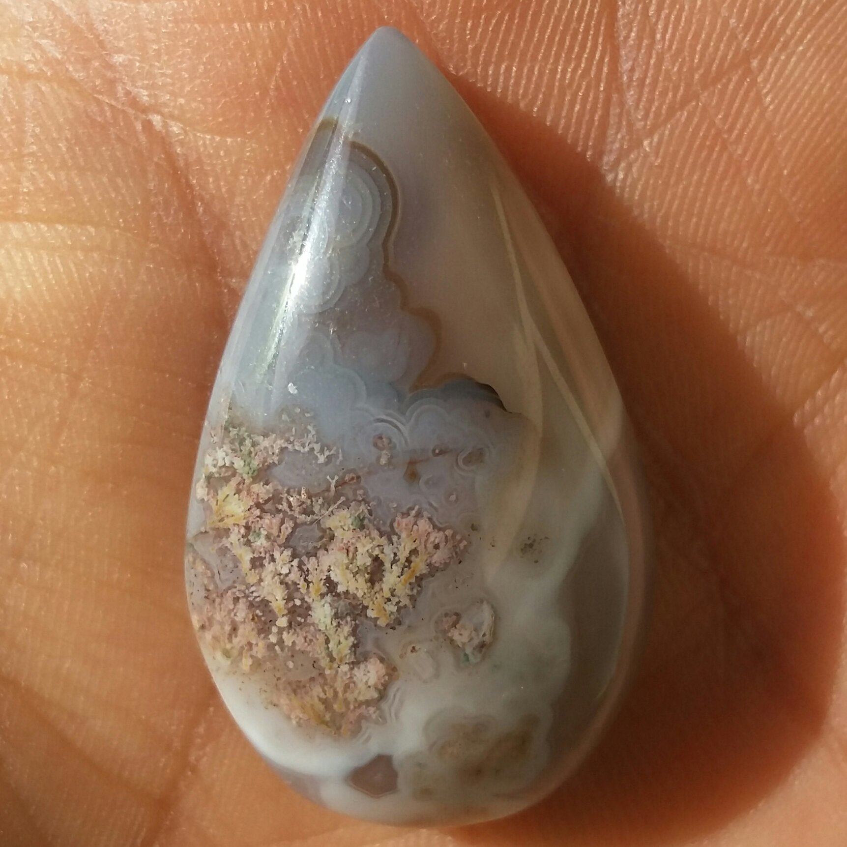 نگین شجر شکوفه صورتی زمینه سوسنی محششششر بی نظیر 100درصد طبیعی