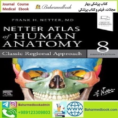 Netter Atlas of Human Anatomy Classic Regional Approach 2023