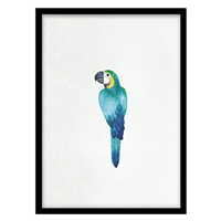 قیمت و خرید تابلو دکوراتیو اتاق کودک مدل طوطی کد 0948