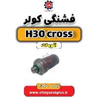 فشنگی کولر دانگ فنگ H30 کراس اتوماتیک