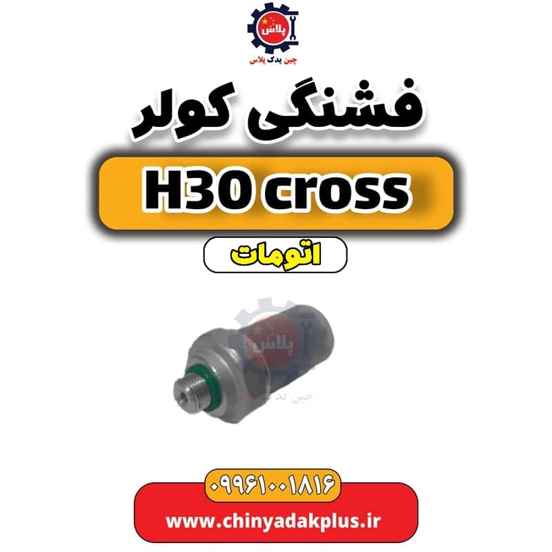 فشنگی کولر دانگ فنگ H30 کراس اتوماتیک