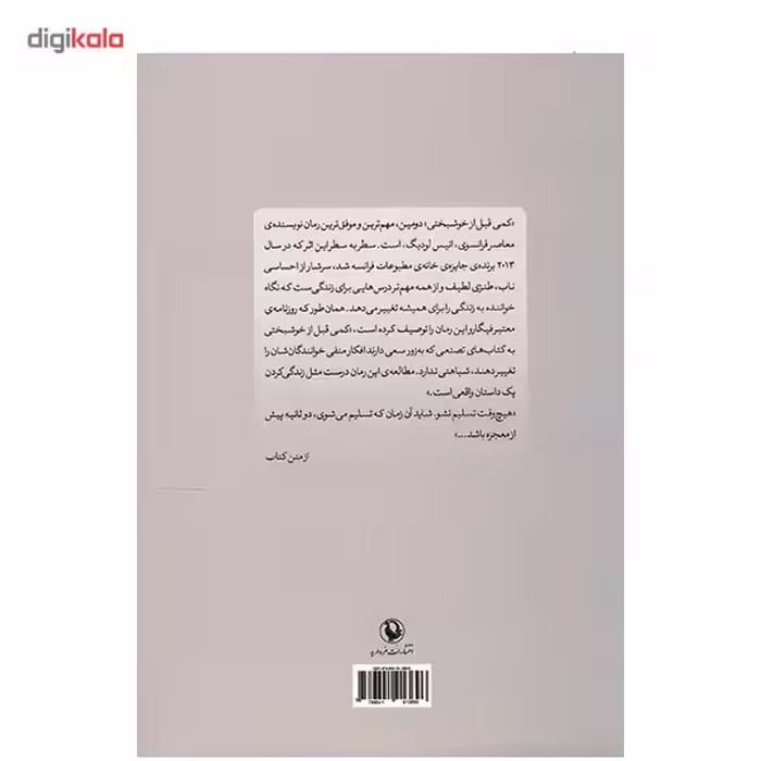 کتاب کمی قبل از خوشبختی اثر انیس لودیگ