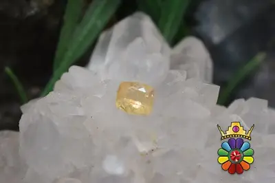 توپاز طلایی