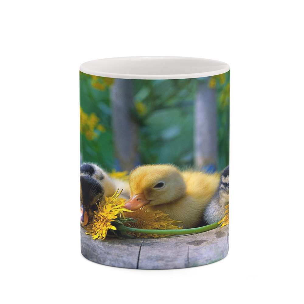 ماگ کاکتی طرح جوجه مدل mgh19219