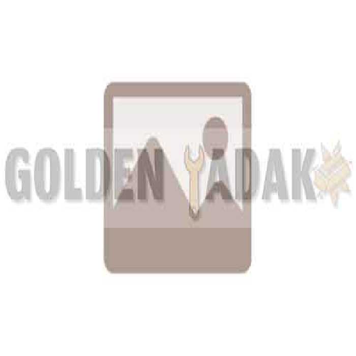 رینگ و پیستون استاندارد چانگان CS35 - گلدن یدک