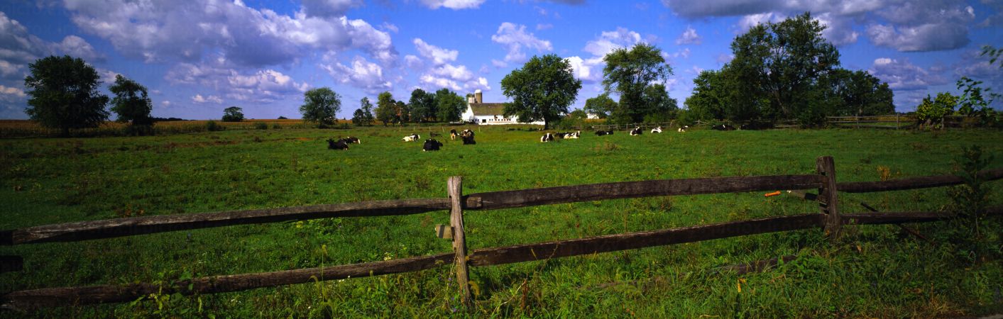 خرید و دانلود عکس IranBCS کد 28354 | پیک فاکس | Pic Fox