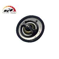 ترموستات ام وی ام 110