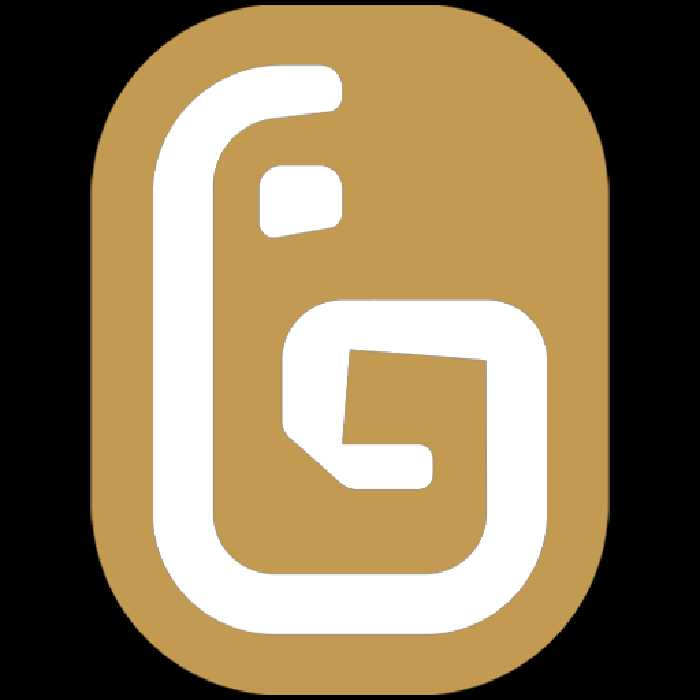 حافظه SSD اینترنال 256 گیگابایت Pioneer مدل  APS-SL3N