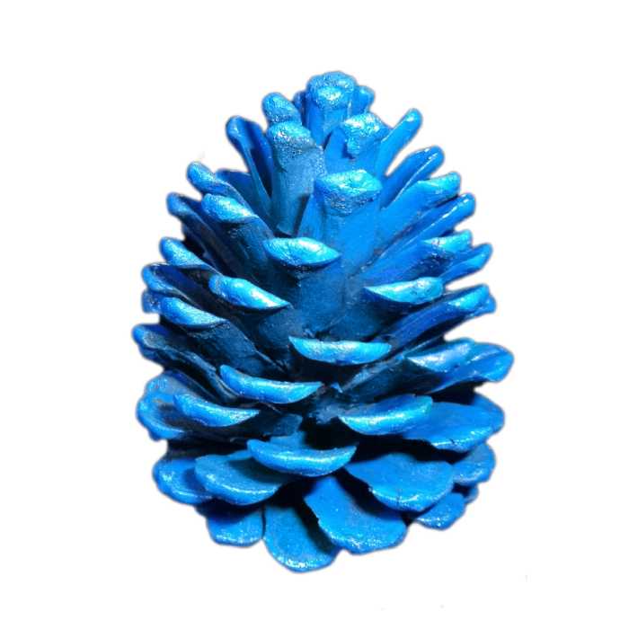 دکوری مدل کاج 