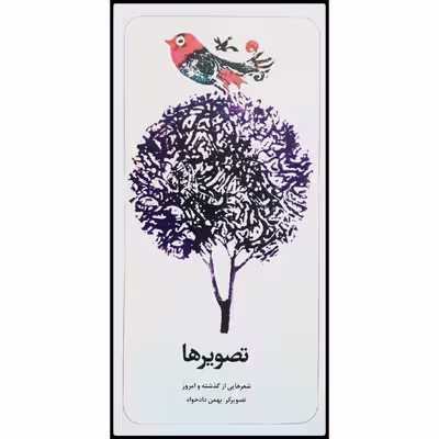 کتاب تصویرها: شعرهایی از گذشته و امروز اثر بهمن دادخواه انتشارات کانون پرورش فکری کودکان و نوجوانان