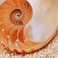 پوستر دیواری کومار مدل 601-1