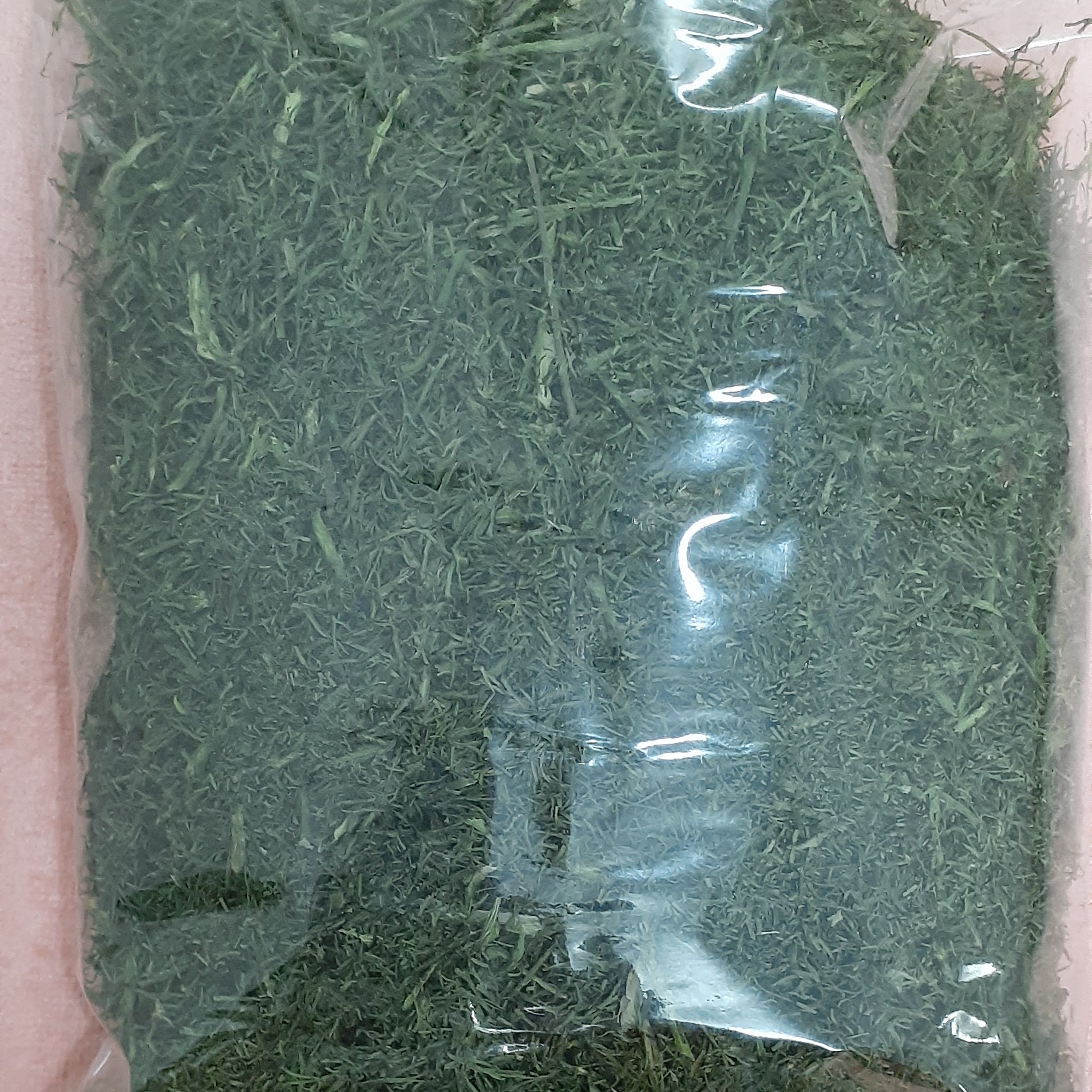 شوید سرگل