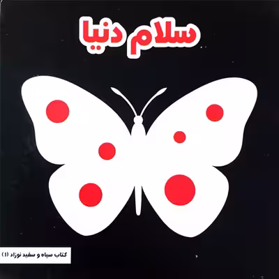 کتاب سلام دنیا اثر مینا یوسفی انتشارات موسسه پژوهشی تاریخ ادبیات کودکان
