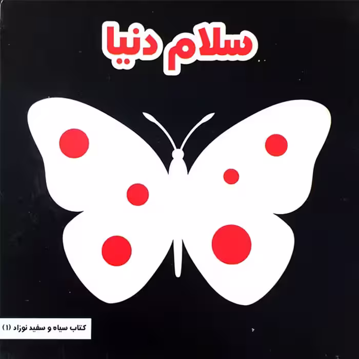 کتاب سلام دنیا اثر مینا یوسفی انتشارات موسسه پژوهشی تاریخ ادبیات کودکان