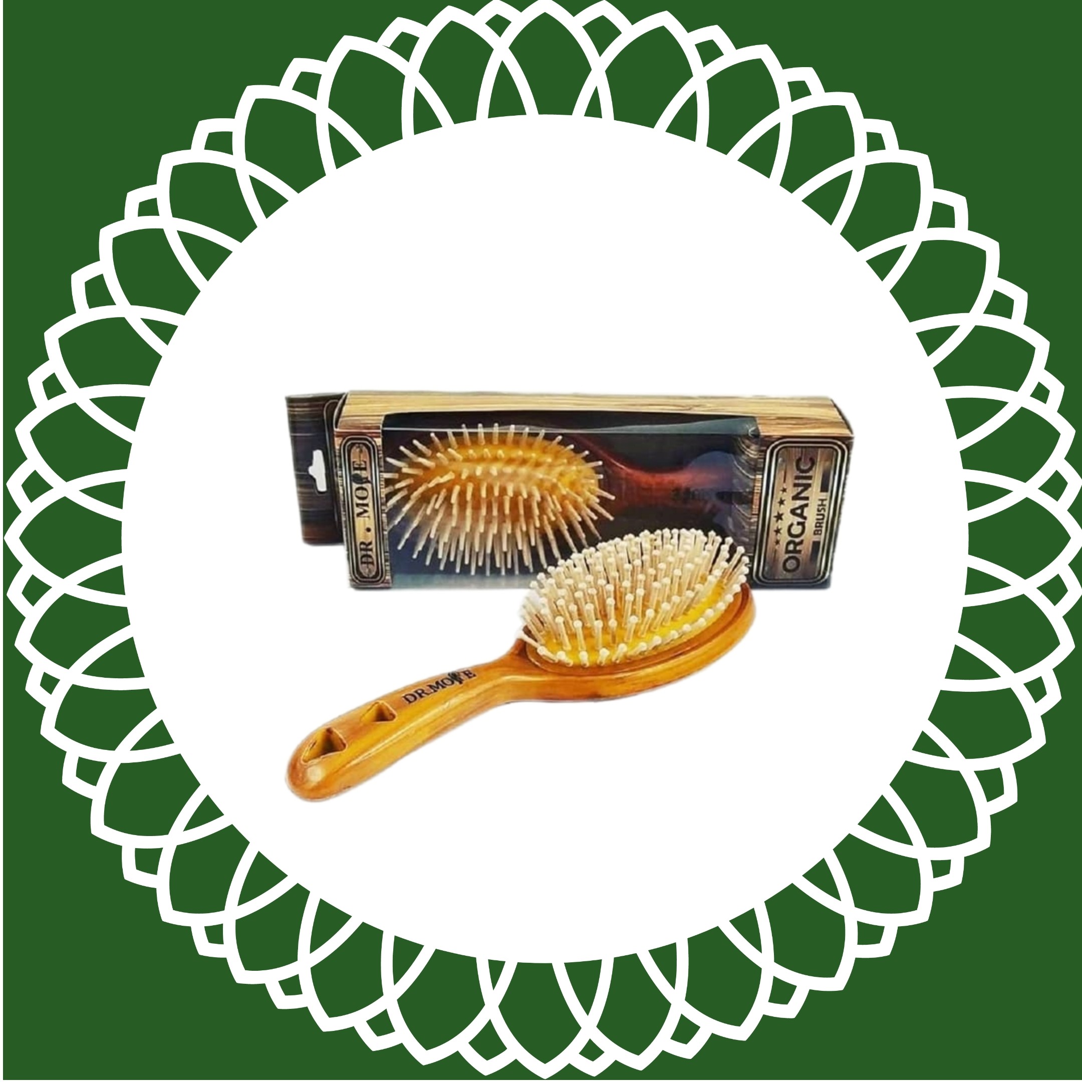 بسته 6 عددی برس چوبی دکتر مور اصل