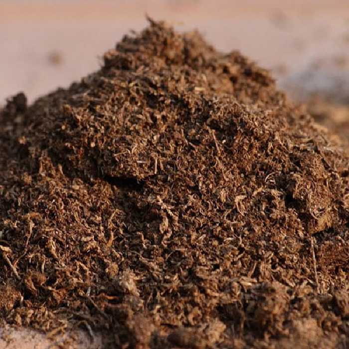 خاک پیت ماس (بصورت فله)/ بستر مناسبی برای کشت/ قیمت+خرید