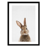 قیمت و خرید تابلو دکوراتیو مدل نقاشی مدرن خرگوش کد 2111