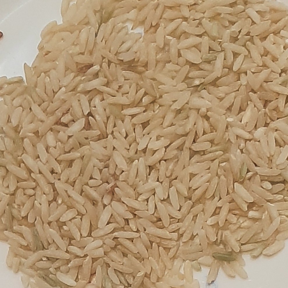 برنج سبوسدار طارم محلی