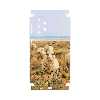 برچسب پوششی ماهوت مدل Sheep-FullSkin مناسب برای گوشی موبایل سامسونگ Galaxy A33 5G