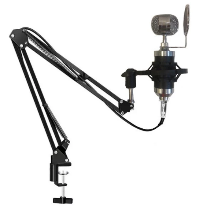 میکروفون پروفیشینال مدل RECORDING STAND