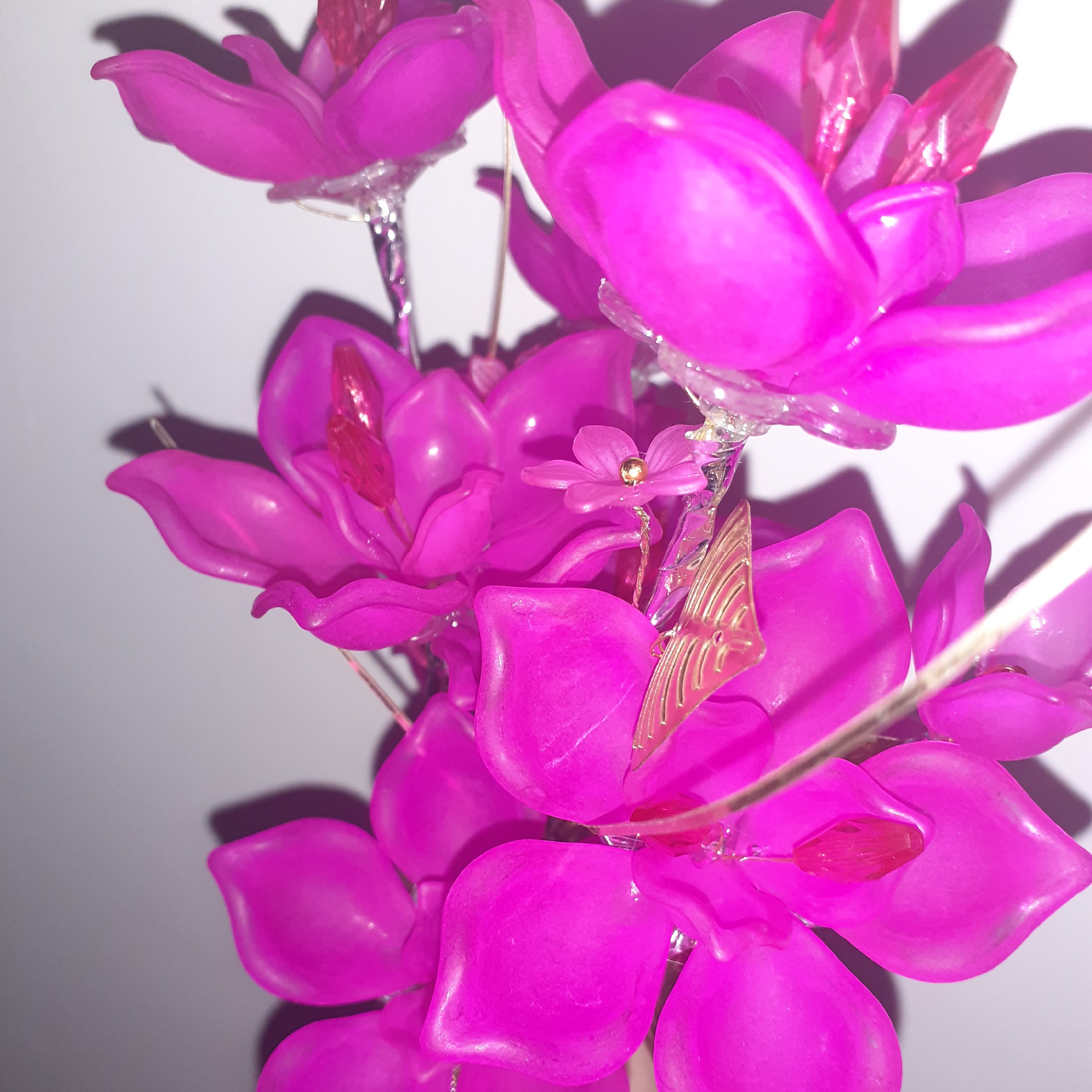 گل رز کلوعه  کریستالی سرخ آبی