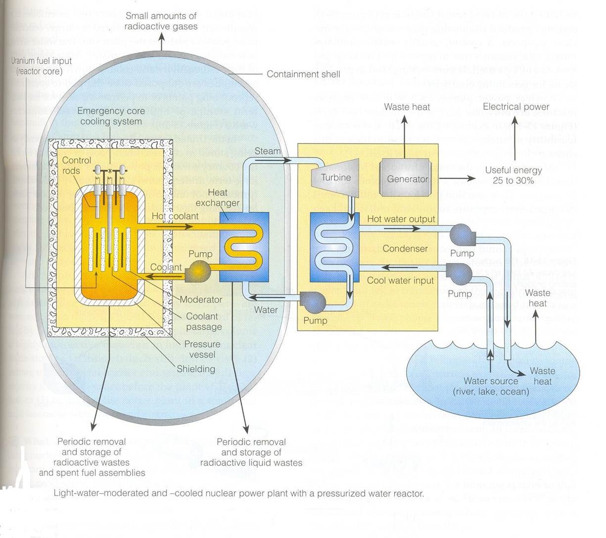 پاورپوینت جزوه درسی انسان و محیط زیست Power Point