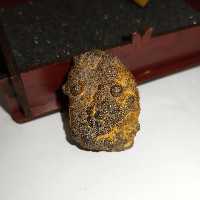 جواهرات فرهادی