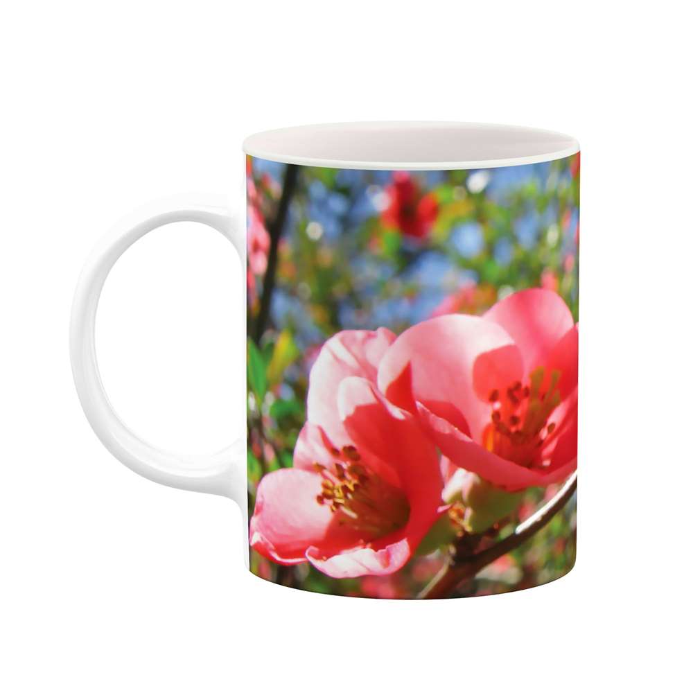 ماگ طرح گل مدل mgs06796