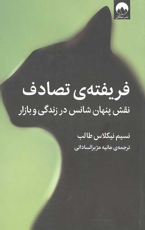فریفته تصادف