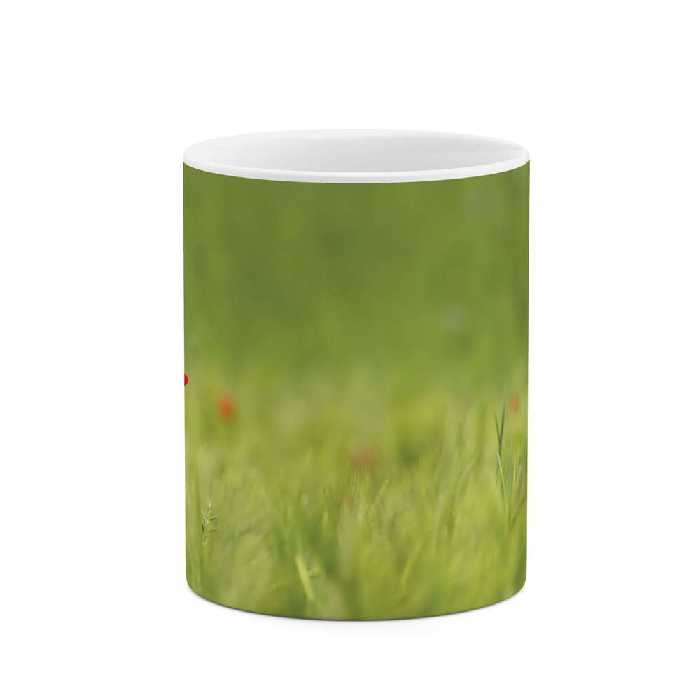 ماگ طرح تک گل مزرعه مدل mgs06584